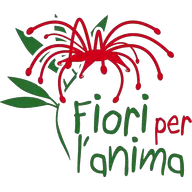 Icona dell'applicazione
